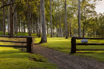 Listing image for 1695 Peachester Road, Peachester  QLD  4519